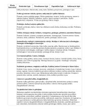 Atnaujintas ilgalaikis pirmosios užsienio kalbos planas (2023 m.) 17 puslapis