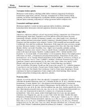 Atnaujintas ilgalaikis pirmosios užsienio kalbos planas (2023 m.) 18 puslapis