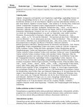 Atnaujintas ilgalaikis pirmosios užsienio kalbos planas (2023 m.) 19 puslapis