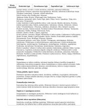 Atnaujintas ilgalaikis pirmosios užsienio kalbos planas (2023 m.) 20 puslapis