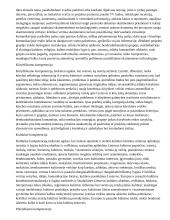 Atnaujintas ilgalaikis pirmosios užsienio kalbos planas (2023 m.) 4 puslapis