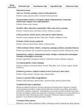 Atnaujintas ilgalaikis pirmosios užsienio kalbos planas (2023 m.) 9 puslapis