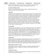 Atnaujintas ilgalaikis pirmosios užsienio kalbos planas (2023 m.) 10 puslapis