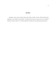 Antalieptės marios 8 puslapis