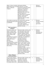 Atnaujintas šokio ilgalaikis planas 3-4 klasėms (2023 m.) 4 puslapis