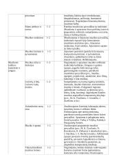 Atnaujintas muzikos ilgalaikis planas 5-6 klasei (2023 m.) 5 puslapis