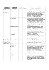 Atnaujintas muzikos ilgalaikis planas 7-8 klasei (2023 m.) 3 puslapis