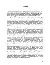 Antikos idėjų atgimimas Renesanso dailėje 3 puslapis