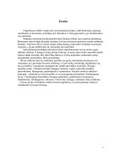 Antikos idėjų atgimimas Renesanso dailėje 7 puslapis