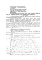Antikos literatūra su pavyzdžiais 14 puslapis