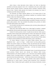 Antikos politinė filosofija 13 puslapis