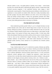 Antikos politinė filosofija 16 puslapis