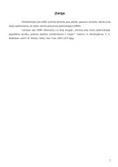 Antrinių jonų masių spektroskopija (SIMS) 2 puslapis