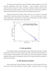 Antrinių jonų masių spektroskopija (SIMS) 11 puslapis