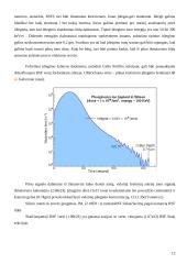 Antrinių jonų masių spektroskopija (SIMS) 12 puslapis