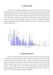 Antrinių jonų masių spektroskopija (SIMS) 13 puslapis