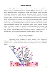 Antrinių jonų masių spektroskopija (SIMS) 3 puslapis