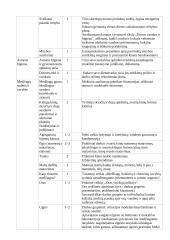 Atnaujintas gamtos mokslų ilgalaikis planas 5 klasei (2023 m.) 4 puslapis