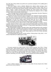 Antžeminis transportas Lietuvoje 13 puslapis