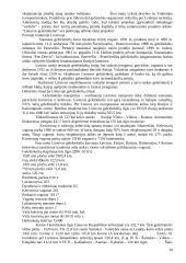 Antžeminis transportas Lietuvoje 20 puslapis