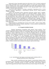 Antžeminis transportas Lietuvoje 4 puslapis