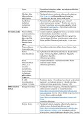 Atnaujintas fizikos ilgalaikis planas 11 klasei (2023 m.) 6 puslapis