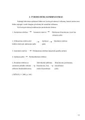 Apklausos būdai ir būdų kombinavimas 12 puslapis