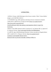 Apklausos būdai ir būdų kombinavimas 17 puslapis