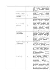 Atnaujintas dailės ilgalaikis planas 9-10 klasei (2023 m.) 3 puslapis