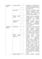 Atnaujintas dailės ilgalaikis planas 9-10 klasei (2023 m.) 4 puslapis