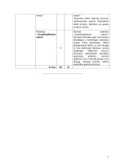 Atnaujintas dailės ilgalaikis planas 9-10 klasei (2023 m.) 5 puslapis