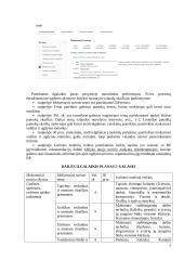 Atnaujintas dailės ilgalaikis planas 5-6 klasei (2023 m.) 2 puslapis