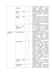 Atnaujintas dailės ilgalaikis planas 5-6 klasei (2023 m.) 3 puslapis