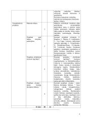Atnaujintas dailės ilgalaikis planas 5-6 klasei (2023 m.) 4 puslapis