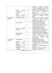 Atnaujintas dailės ilgalaikis planas 1-2 klasei (2023 m.) 3 puslapis