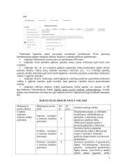 Atnaujintas dailės ilgalaikis planas 3-4 klasei (2023 m.) 2 puslapis