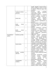 Atnaujintas dailės ilgalaikis planas 3-4 klasei (2023 m.) 3 puslapis