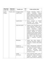 Atnaujintas biologijos ilgalaikis planas 11 klasei (2023 m.) 3 puslapis