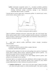 Apkrovų skaičiavimo metodai 3 puslapis