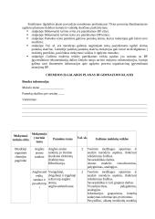 Atnaujintas chemijos ilgalaikis planas 11 klasei (2023 m.) 2 puslapis