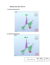 Medinių stogo elementų skaičiavimo ataskaita 8 puslapis