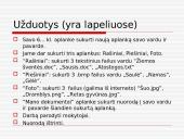 Kaip tvarkyti informaciją kompiuteryje 14 puslapis