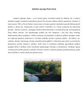 Aplinkos apsauga Panevėžyje 1 puslapis
