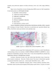 Radviliškio miesto viešųjų erdvių vertinimas  10 puslapis