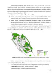 Radviliškio miesto viešųjų erdvių vertinimas  12 puslapis