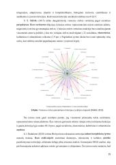 Radviliškio miesto viešųjų erdvių vertinimas  18 puslapis