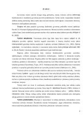 Radviliškio miesto viešųjų erdvių vertinimas  3 puslapis