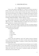 Radviliškio miesto viešųjų erdvių vertinimas  5 puslapis