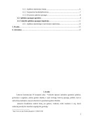 Aplinkos apsaugą užtikrinančių institucijų veikla (viešasis sektorius) 2 puslapis