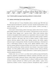 Aplinkos apsaugą užtikrinančių institucijų veikla (viešasis sektorius) 12 puslapis